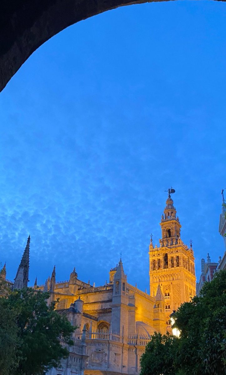 reyessaalmeron's tweet photo. Sevilla, estoy enamorada de ti 💛 https://t.co/1OUWktTzZi