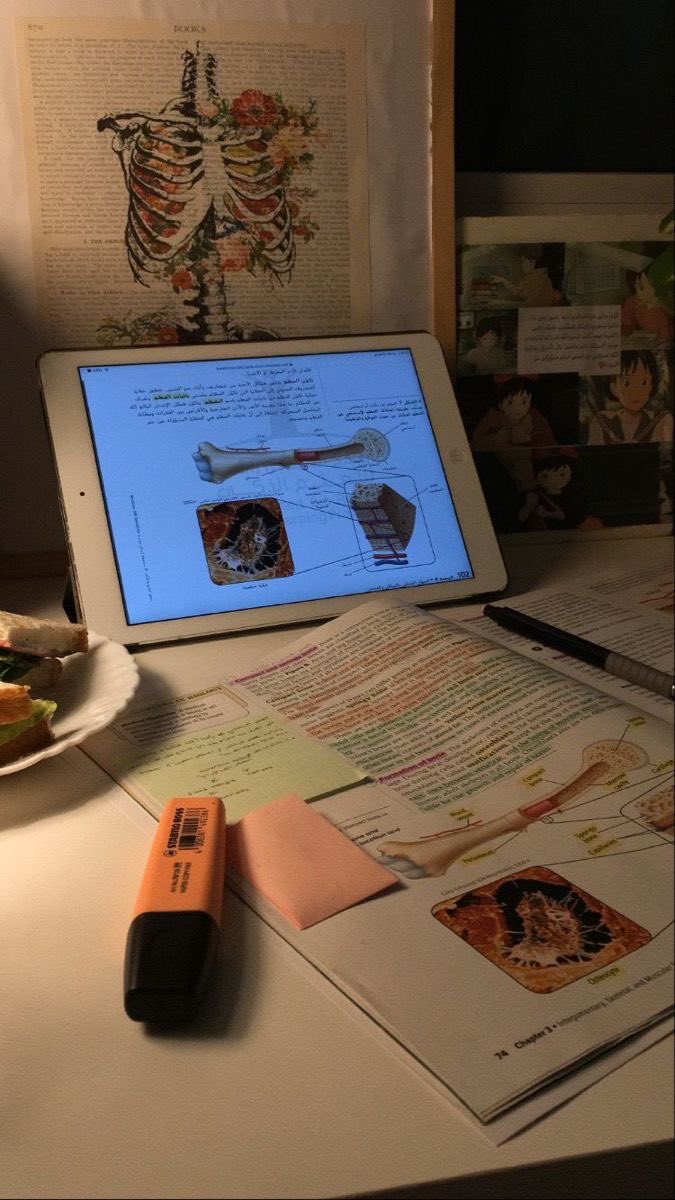 sophistwt's tweet image. ⌕: #studytwtbr | #studytwt 

— sophia | 2004
— vestibulanda de medicina
— 2° ano de cursinho
— foco: enem | fuvest e unicamp 
— livros, animes, séries e filmes 

• fluente em inglês e em busca de companhia para praticar 

♡/↺ = mutuals