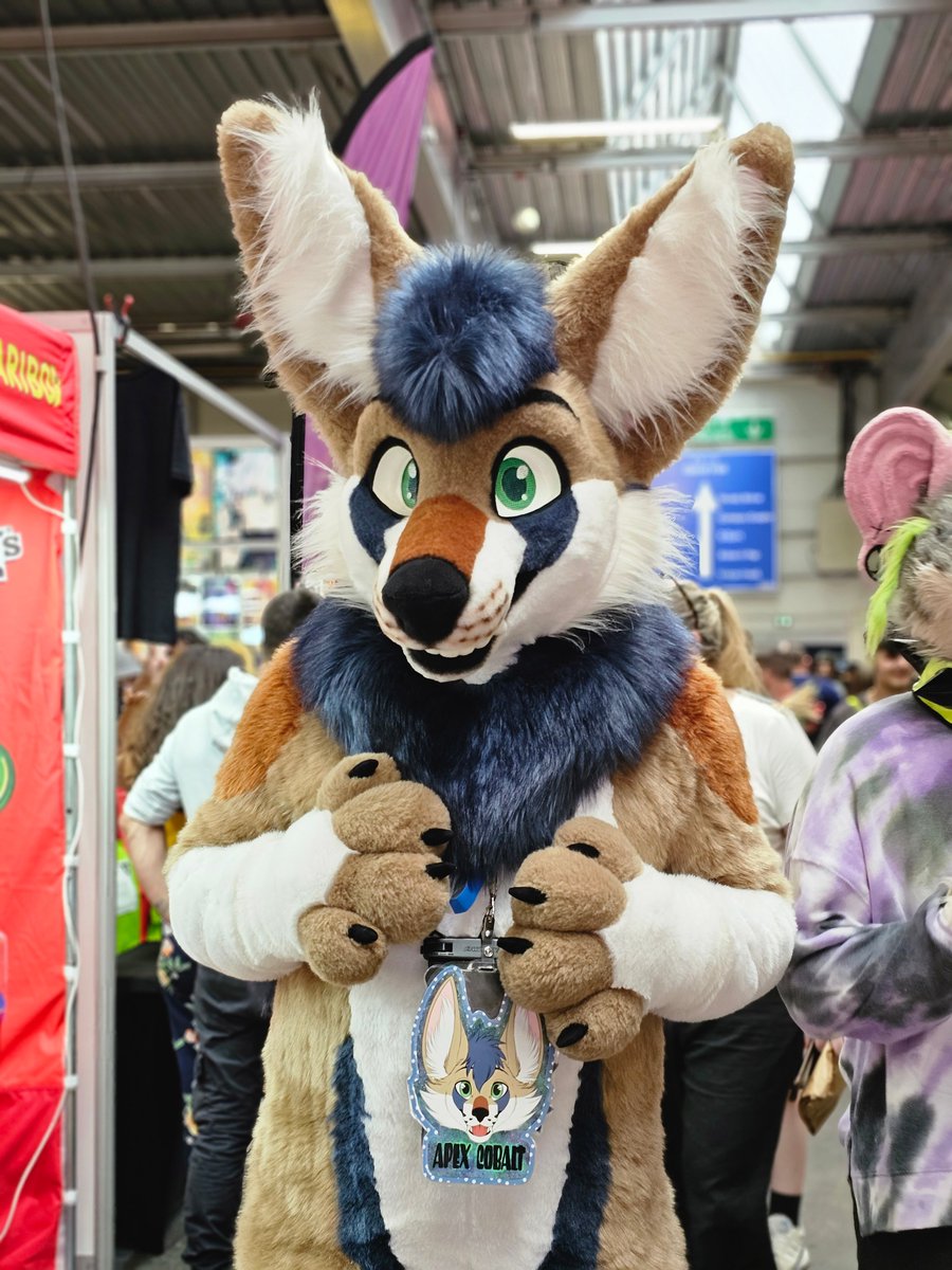 Share your sona's species and the species they commonly get mistaken for!

Noryx: Jackal
What people think: Coyote, wolf, dog

Apex: Gindo
What people think: Fennec 🥲

📸 @/LisanSnowTiger and @/Pitou_Rikou