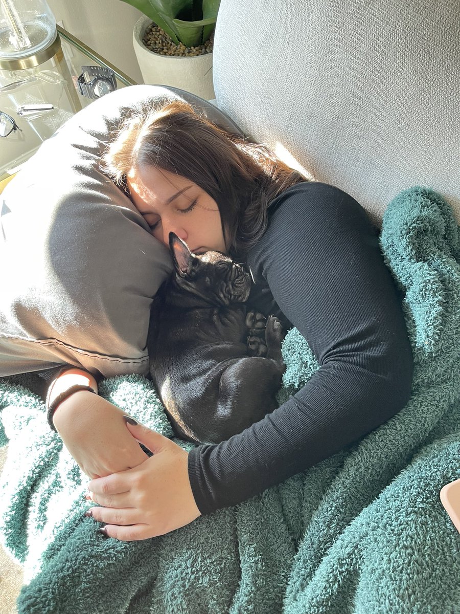 tori_viator's tweet image. Life with Bodin is all snuggles 🖤🐾