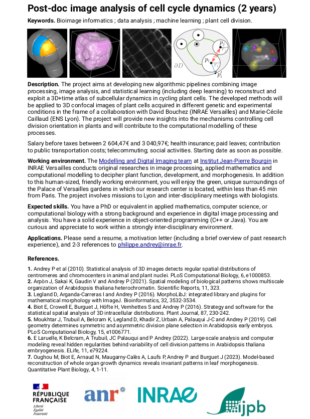 AndreyLab_fr's tweet image. We are hiring! Post-doc available in Versailles (France) in bioimage informatics and machine learning, with applications in plant cell biology: shorturl.at/dfhP0 @ijpb_fr