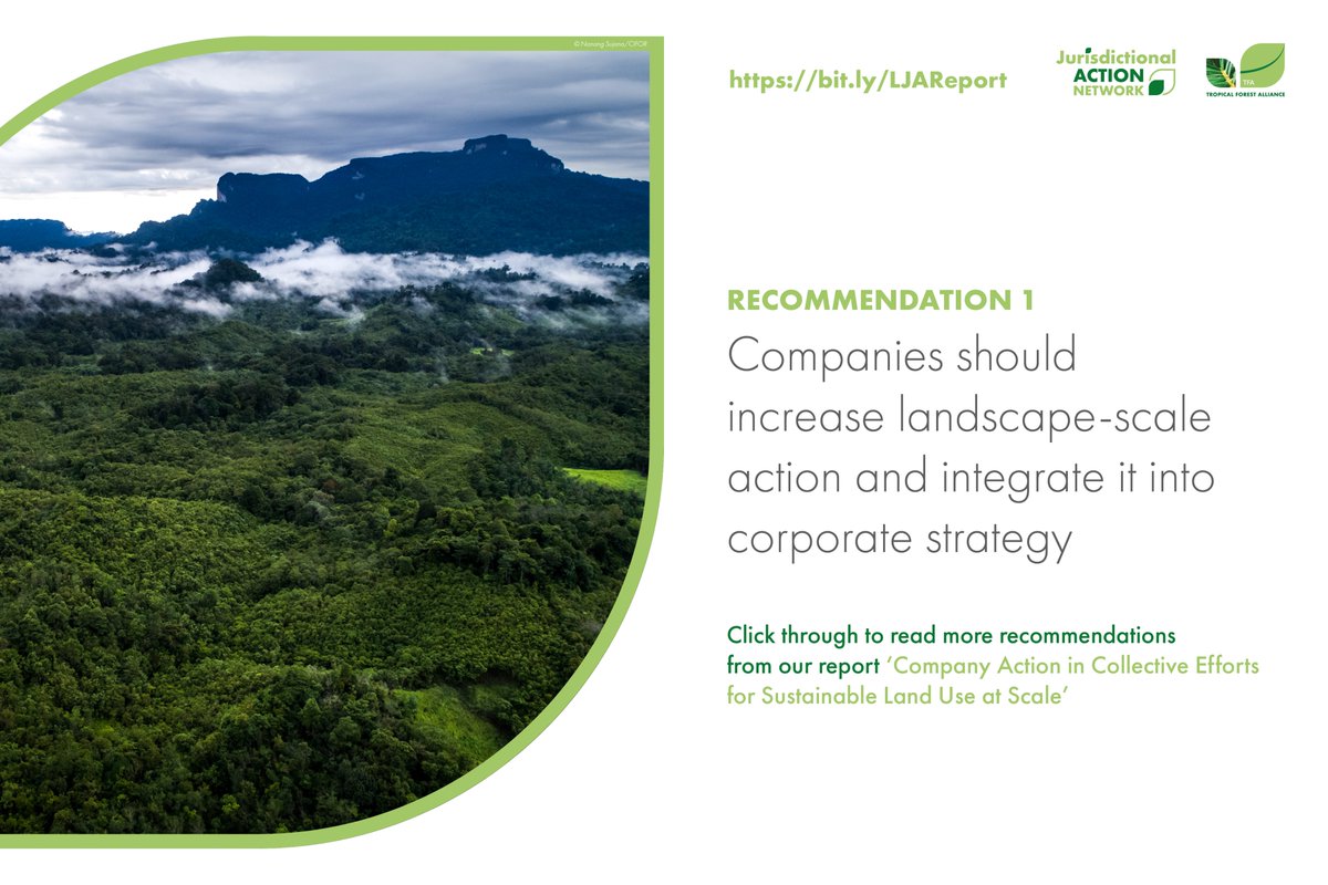 Tropical Forest Alliance at World Economic Forum tweet media