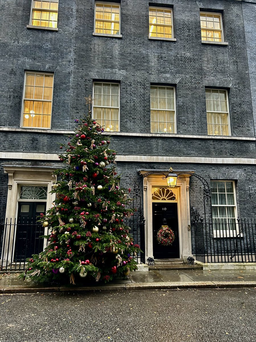 It’s beginning to look a lot like Xmas 🎄 … @Number10cat must have been having a nap out of the cold weather