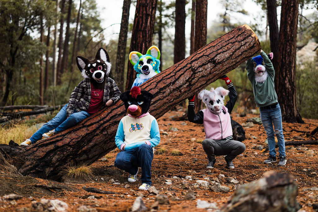 JagerRottie's tweet photo. Silly creatures in their natural habitat 🐶🌲

📸: @ABarktic https://t.co/3RYZzynv7D