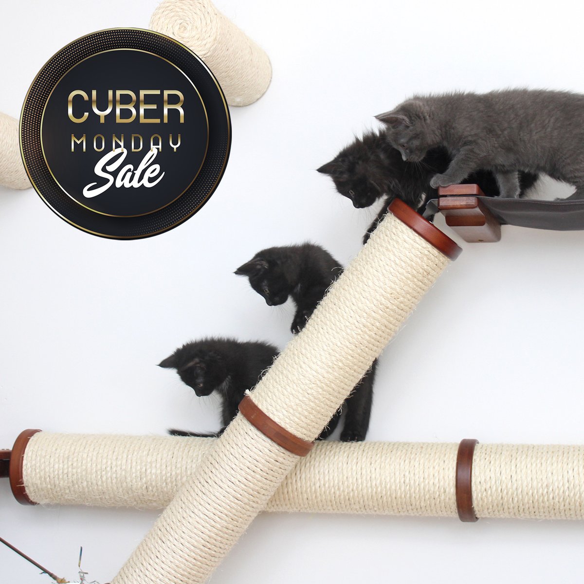 CataCreations's tweet photo. Cyber Monday is live! Today marks the final day of our sale, and it's a big one. Head over to get $110 off our most popular item in the shop,  The Juggernaut.

https://t.co/m7cU2y5W1Z https://t.co/4UfgSO6DPe