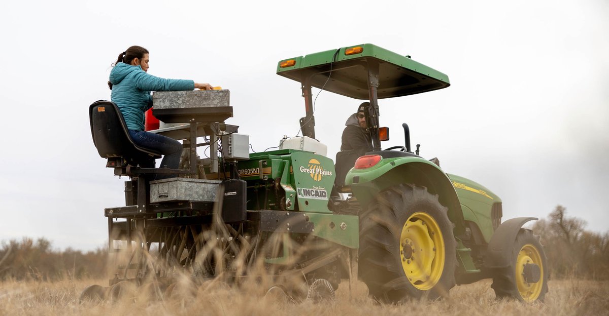 okgenetics's tweet photo. Small grains, big competition: Producers plant wheat for regional contest
https://t.co/VLS4PM8A4k https://t.co/jnVBlsY2wW