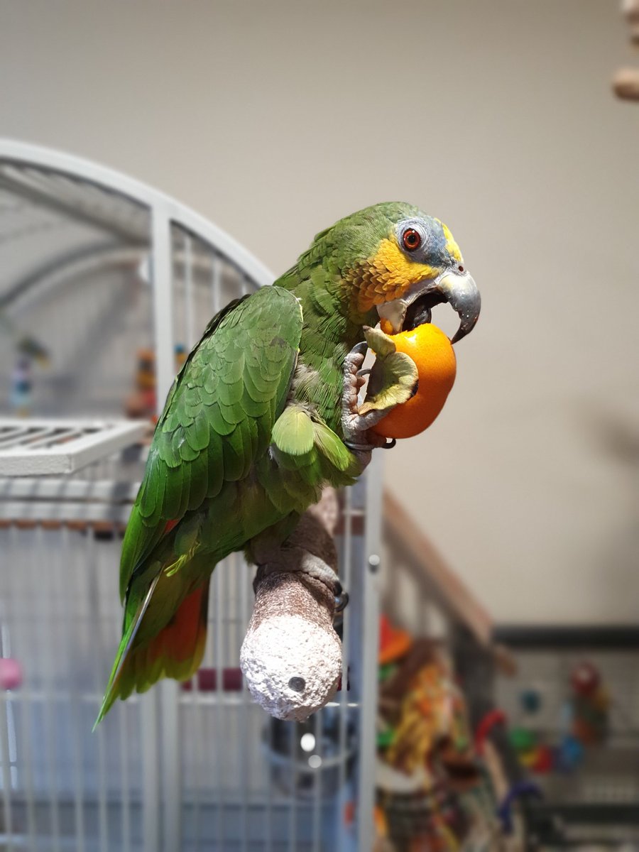 Kim Fisher tweet media