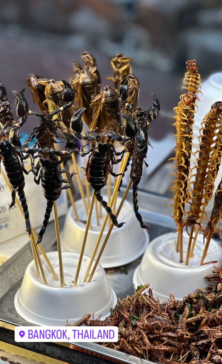 Michele Morrone (@iam_morrone) on Twitter photo 