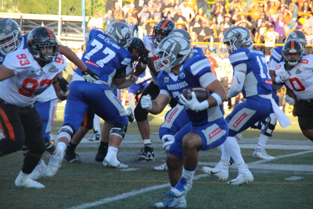 BorregosQRO's tweet photo. 🏈 Imágenes de la FINAL ante Águilas UACH VOLVEREMOS MÁS FUERTES💪 #SomosBorregos #BorregosQRO #BorregosEnONEFA #TecLiFE #HazloÉpico
@teccampusqro @borregostec @OnefaMX https://t.co/GayREQ2ZC2