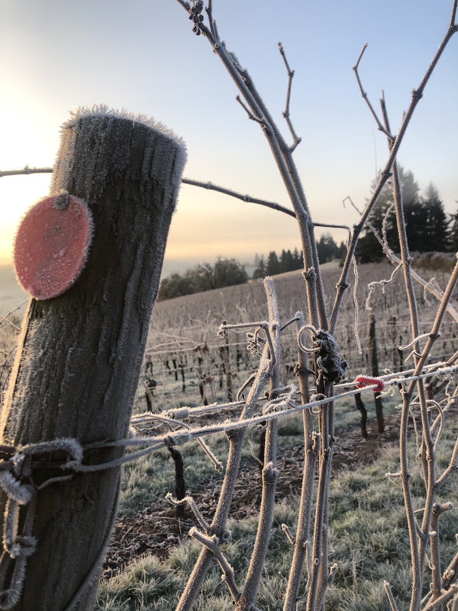 Sweet Cheeks Winery tweet media