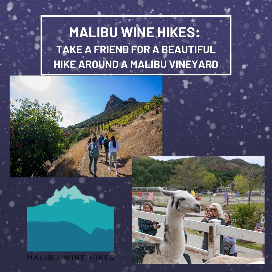 ReadtoaChild's tweet image. Welcome to the Week of Inspiration &amp;amp; Holiday Marketplace! As you read inspiring stories this week, we will also share some of our amazing Holiday Marketplace items. Place your bid now to win your dream gift or trip for your loved ones or yourself!