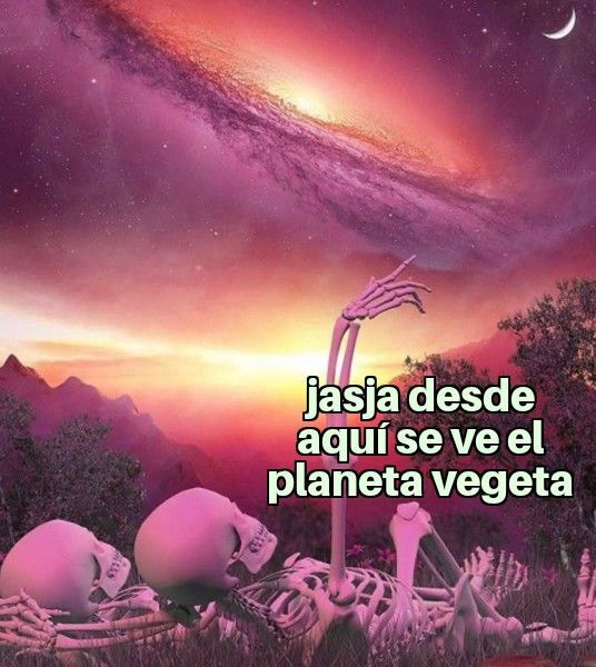 chincheto pirata somali (@wikipistacho) on Twitter photo 