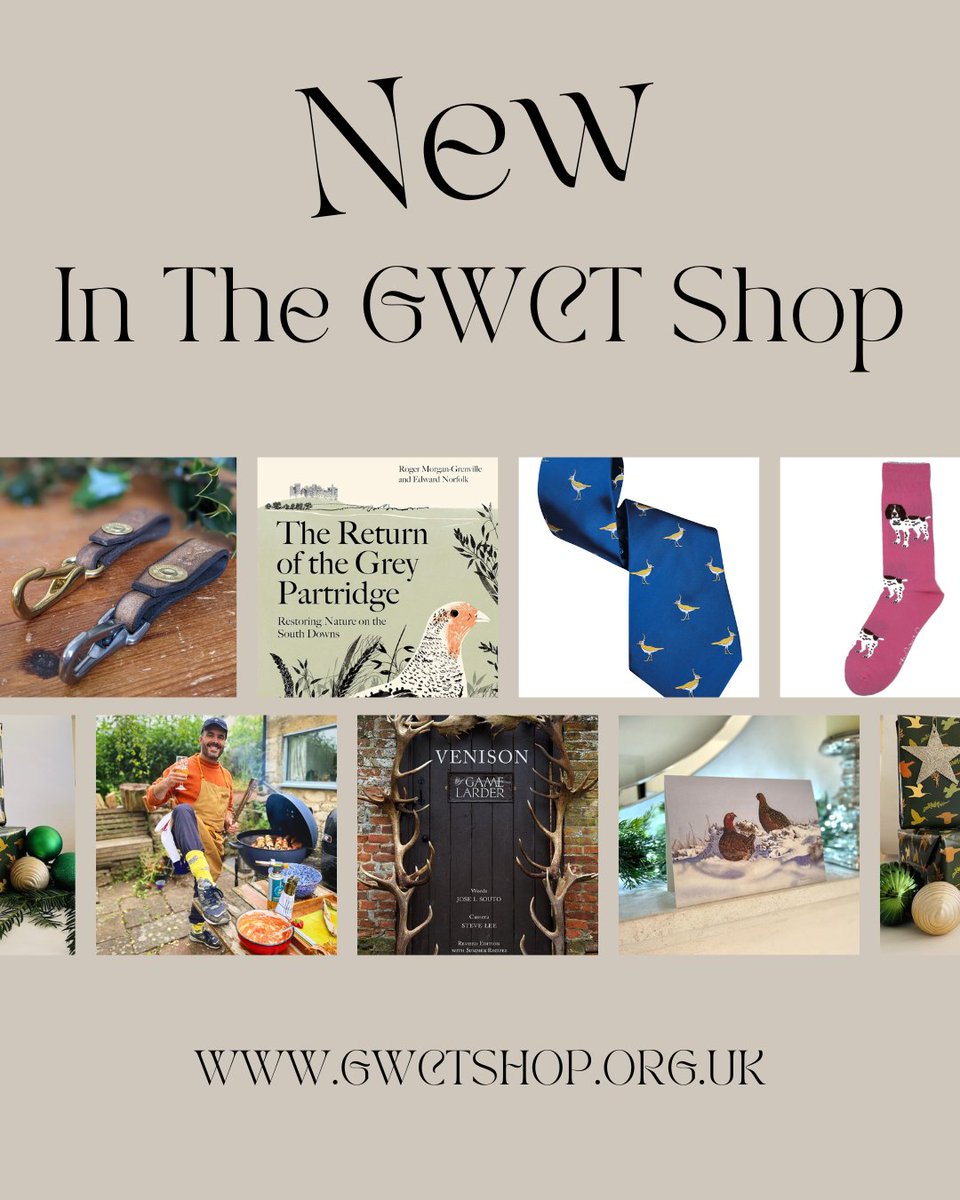 We've got some brand new stuff just landed in the GWCT Shop 😍 including: 🍳 Signed copies of Venison - The Game Larder by @wildfoodboy 📗 Pre-order The Return of the Grey Partridge by @RogerMGwriter & Edward Norfolk 👔 GWCT Special Edition Lapwing Silk Tie 🧦 Junior and Adult…