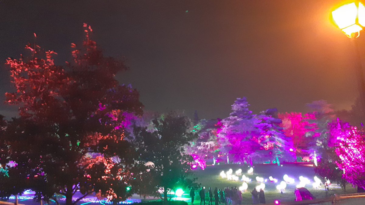DanielSenda's tweet photo. La contaminación lumínica que generan las #lucesnavideñas del #parqueTiernoGalvan afectan directamente a la biodiversidad urbana. Os recomendamos no acudir a este tipo de eventos que alteran el ciclo nocturno de la fauna y flora. Gracias https://t.co/0KGERKDP66