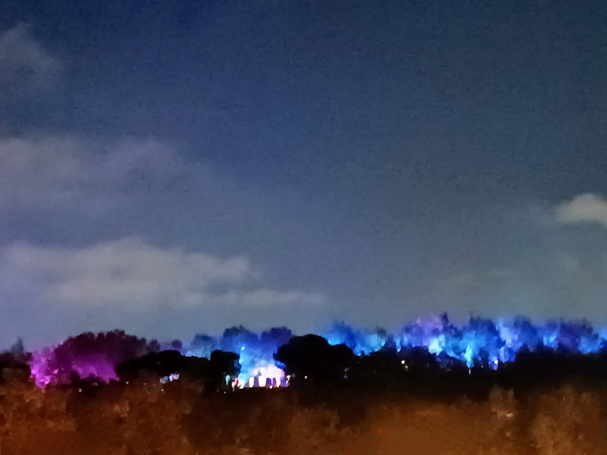 DanielSenda's tweet photo. La contaminación lumínica que generan las #lucesnavideñas del #parqueTiernoGalvan afectan directamente a la biodiversidad urbana. Os recomendamos no acudir a este tipo de eventos que alteran el ciclo nocturno de la fauna y flora. Gracias https://t.co/0KGERKDP66