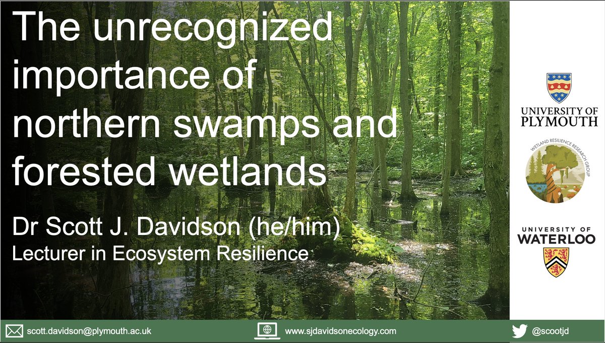 Dr Scott J. Davidson (@scootjd) on Twitter photo Really great day back in Sheffield to give a seminar for <a href="/PPS_UoS/">Plants, Photosynthesis and Soil</a>. Big thanks to <a href="/GarethPhoenix/">Gareth Phoenix</a> for the invite to speak about my favourite subject - swamps! Really great day back in Sheffield to give a seminar for <a href="/PPS_UoS/">Plants, Photosynthesis and Soil</a>. Big thanks to <a href="/GarethPhoenix/">Gareth Phoenix</a> for the invite to speak about my favourite subject - swamps!