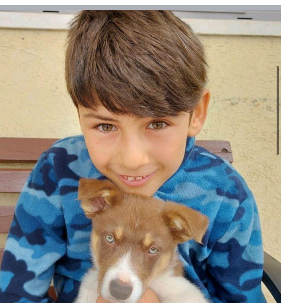 Christian Estrosi tweet media