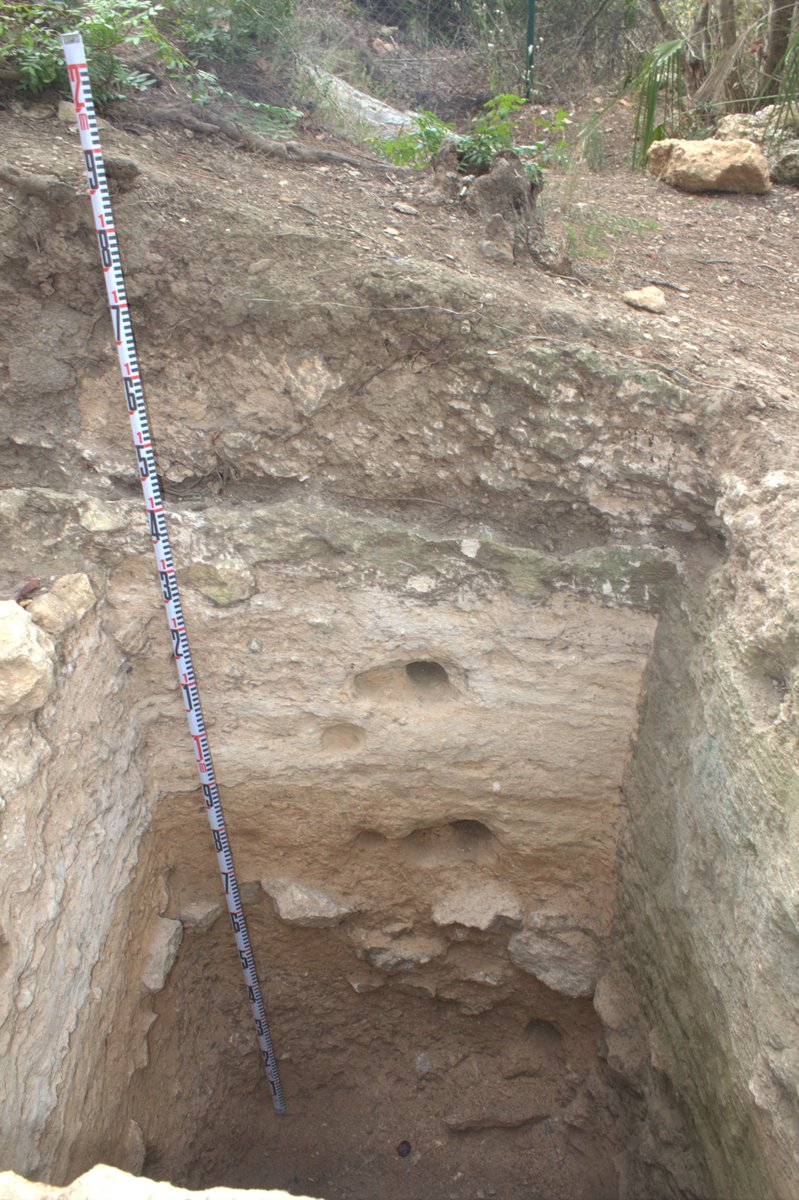 Juan I Morales tweet media