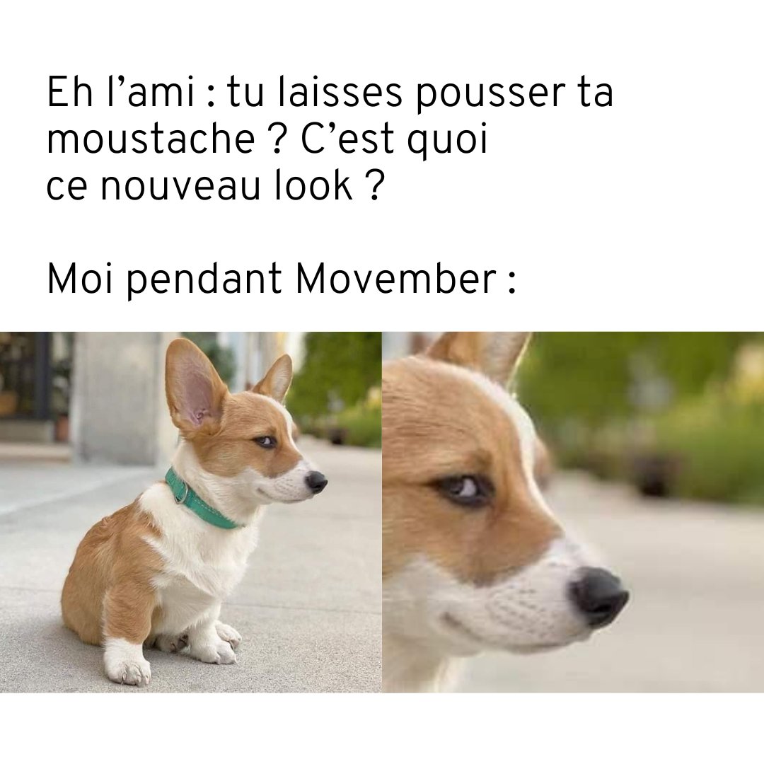 Il y en a toujours un...