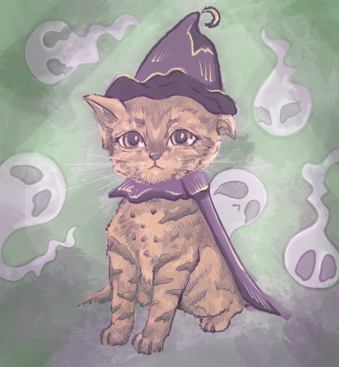exsinere's tweet photo. 👻👻👻
#illustration #artwork #gato #digitalart https://t.co/oUAQHK8wPq