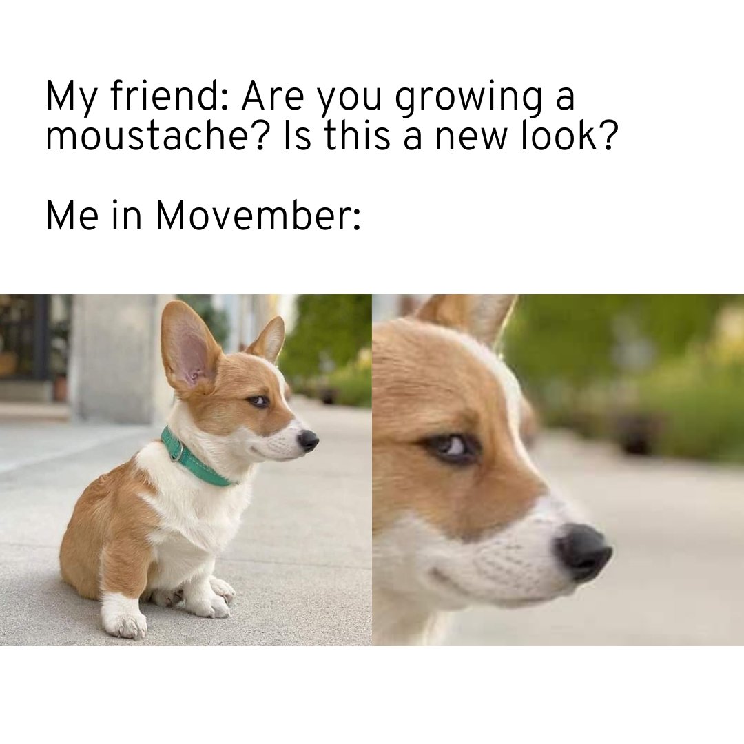 MovemberDK's tweet photo. There's always one... https://t.co/R5wqfA6CQD