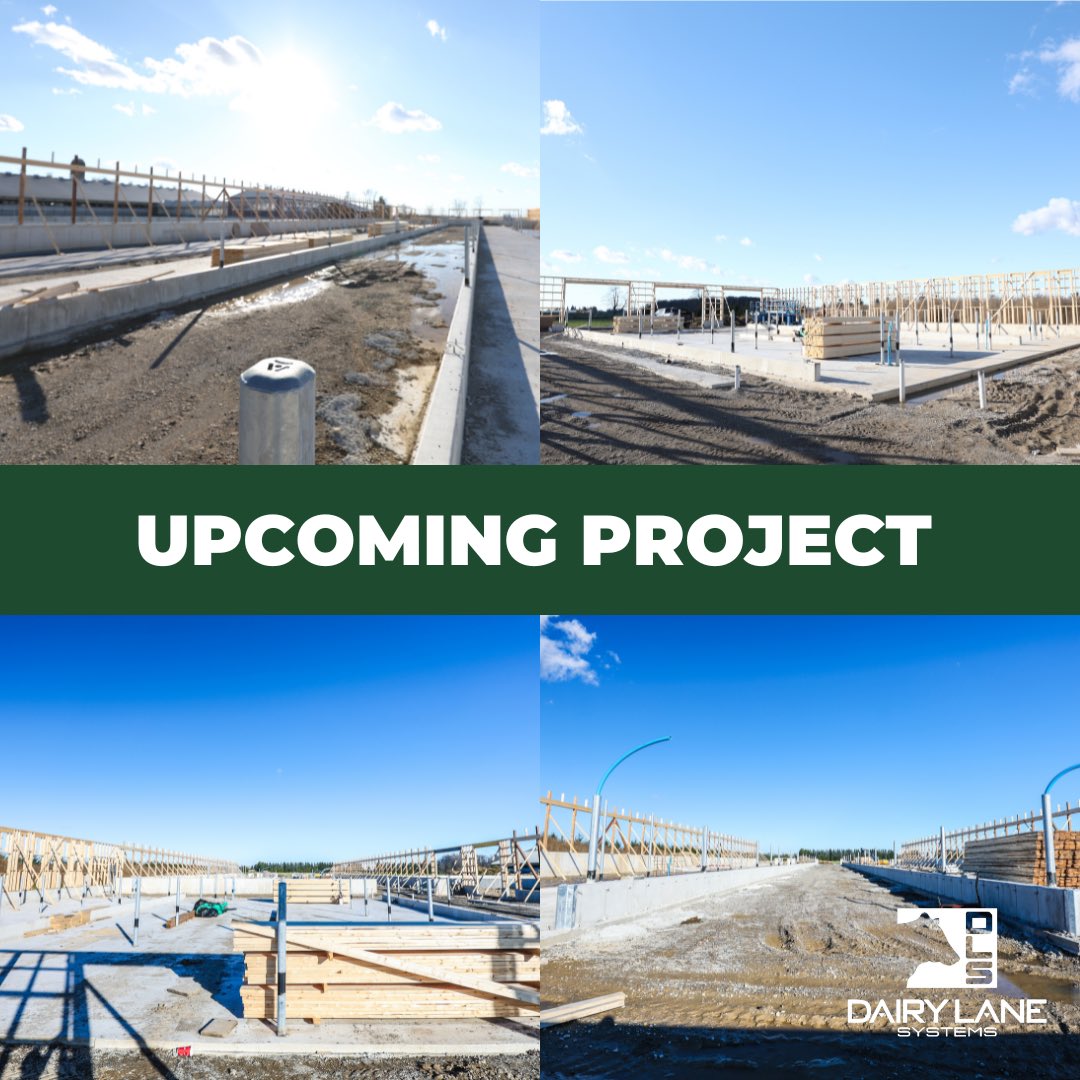 Bolton Manor Farms new transition barn is well under way. This new barn includes a mechanically ventilated calf barn and DLS Sand Lane
