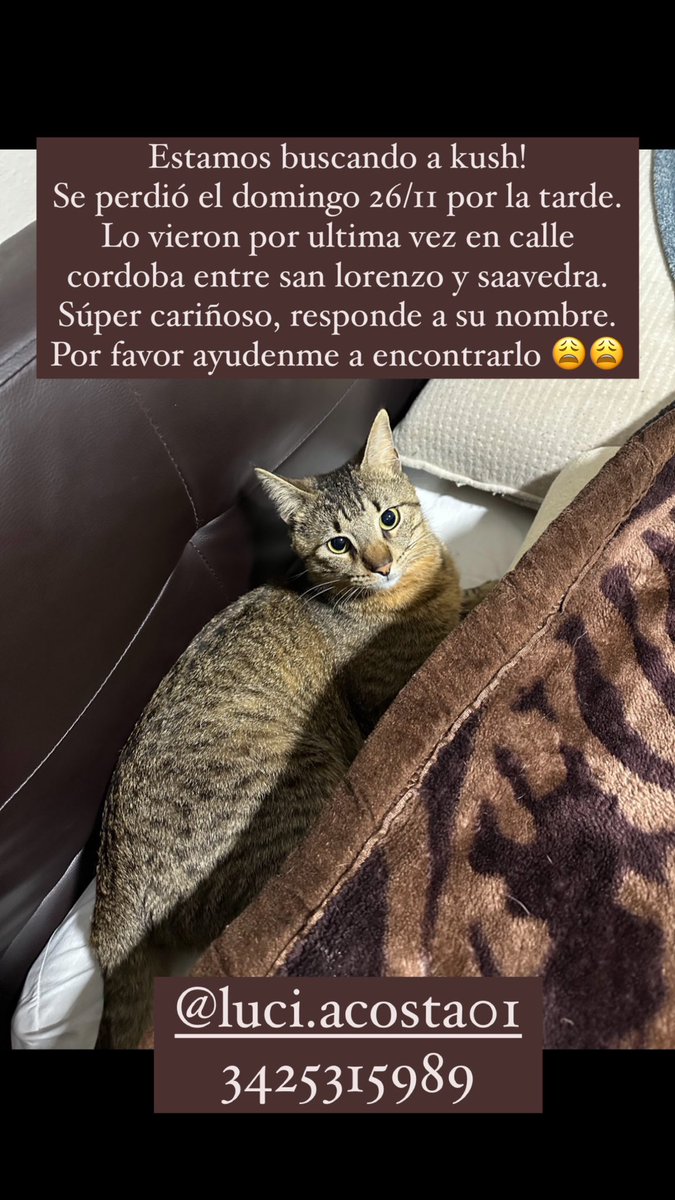 Lucía 🫶🏻 (@luciacst01) on Twitter photo 
