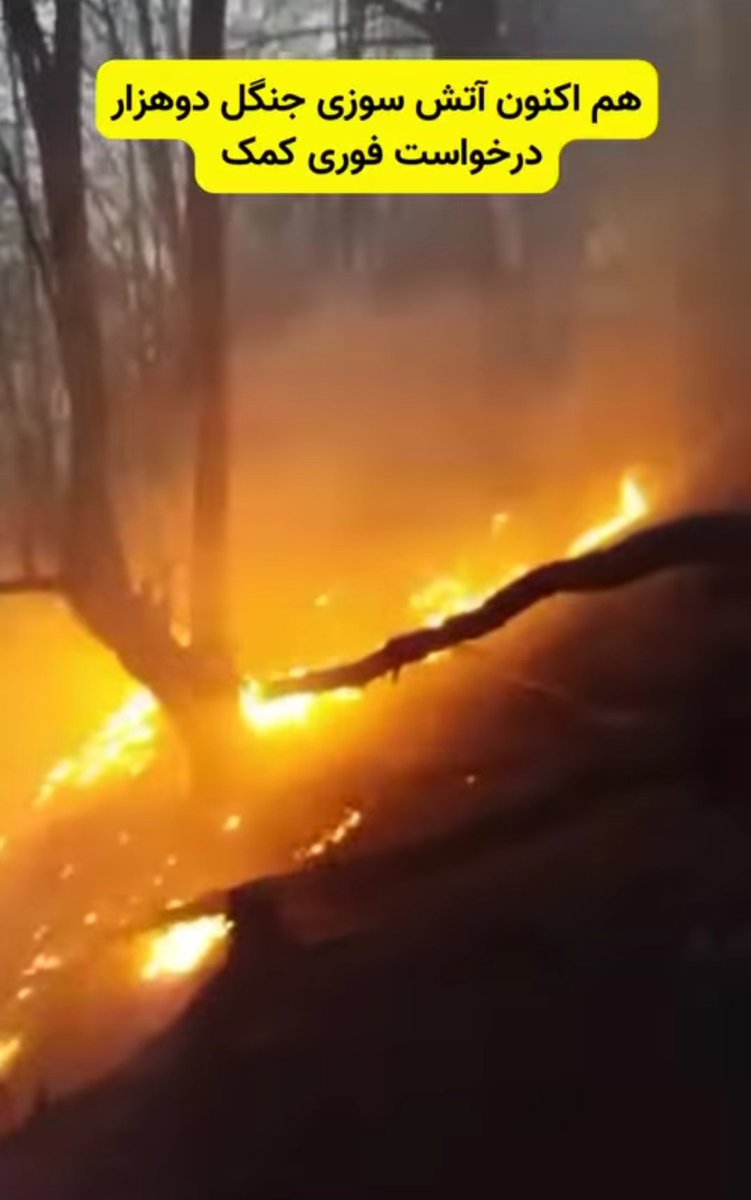 bashebashee's tweet image. جنگل دوهزارِ شهسوار(تنکابن) کم کم داره نابود میشه و صدای ما به هیچ جا نمیرسه
آتیش به سمت جاده ی اصلی داره پیشروی میکنه و به خونه های مردم نزدیک میشه لطفا صدای مردم باشید.