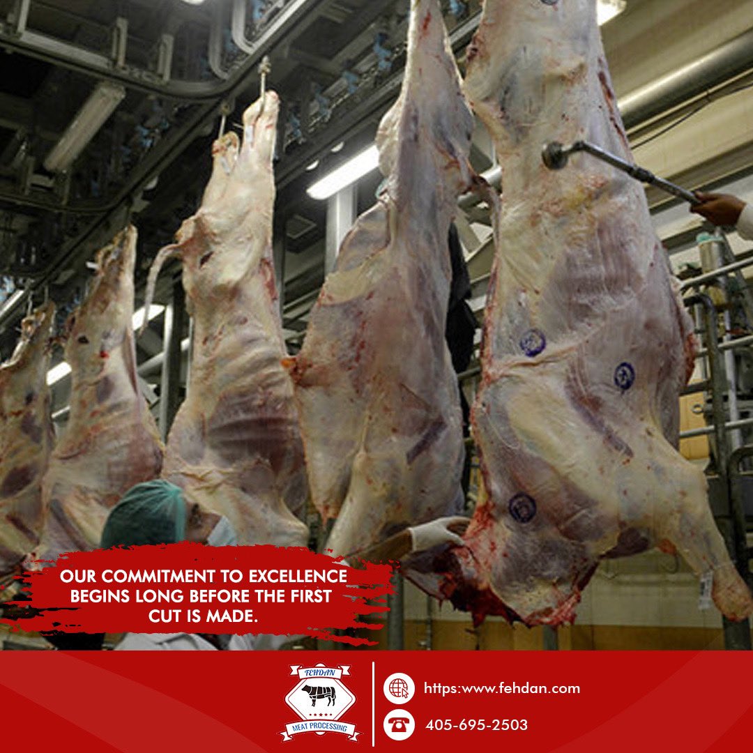 fehdanmeatp1's tweet photo. 📌Before processing, a thorough inspection is conducted to guarantee the meat’s freshness and wholesomeness.
 #Inspection#Freshness#MeatFresh https://t.co/h7bc2S5MXF