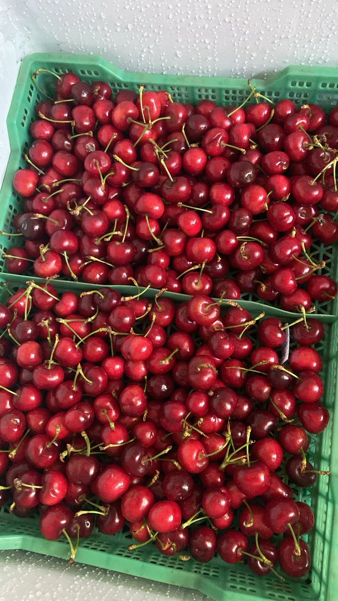Jojojojo!!! Feliz Navidad!! Navidad 🎄🎁🎄🎁
No, pero casi! 
Cuánto está el 1/2 kilo de cerezas en tu barrio?