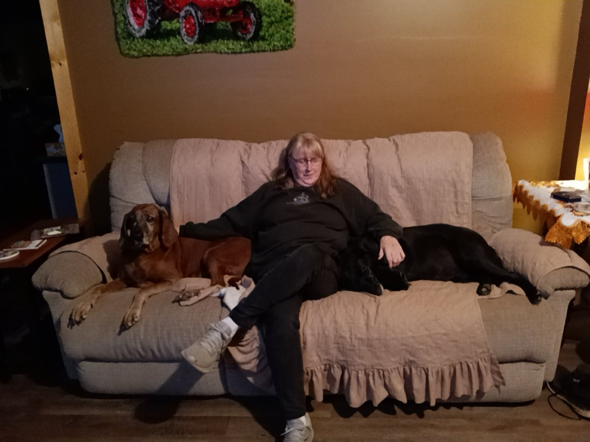 Our newest addition, Raven, making herself right at home. Our friend has cancer and is unable to take care of her. He asked if we would take her. So far so good. 💖🐕