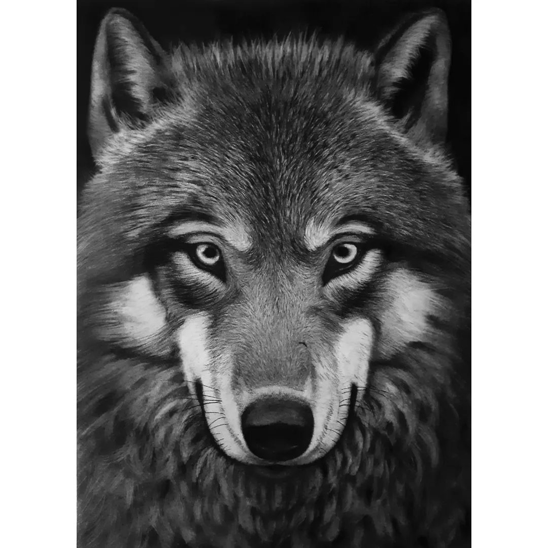 Jerome_draws's tweet photo. Une fois terminé, Impressions à la demande pour tous les budgets !
.
Format original -> 50x70cm 
Original : 150€ 
.
Matériel :
• fusain/charcoal 
• papier canson
#art_realism_  #buyart #cadeaunoel #charcoal #charcoalart #fusain #giftideas #loup #lyonart #painter #sellart #wolf https://t.co/wY28f7VRqI