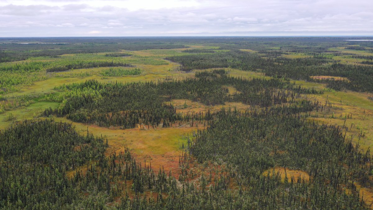 ScottyResearch's tweet photo. New article presents 75 years of Canadian contributions to wetland hydrology.
#wetlands #water #carbon #ColdRegions
https://t.co/3G02a93ooj https://t.co/V9OQihYpvD