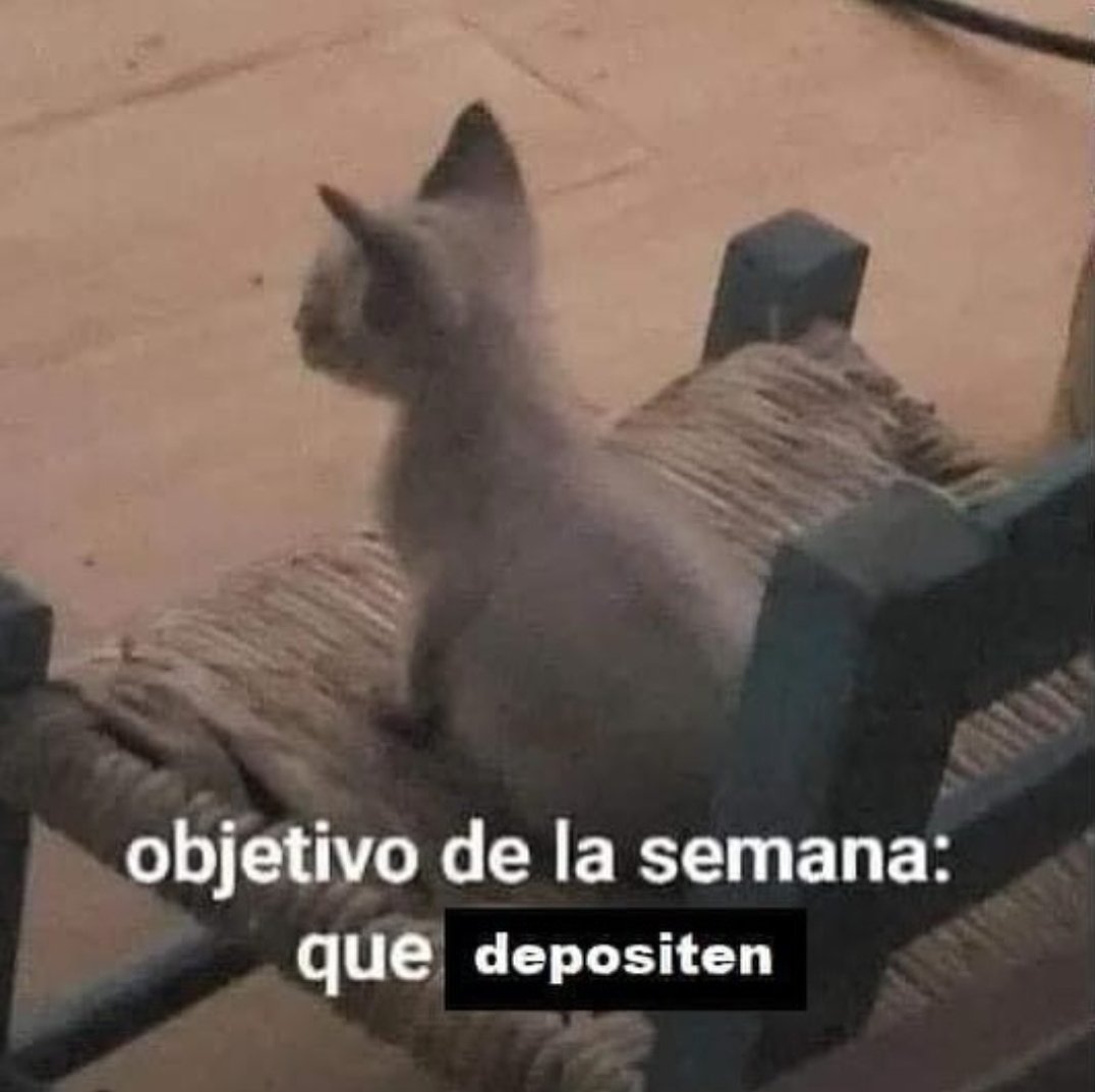 KiteExpress's tweet image. 