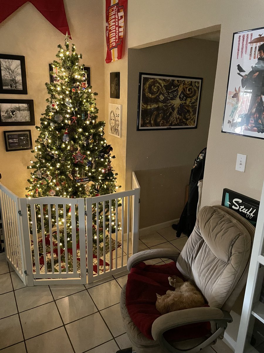 So grateful that @melclairephoto and I can put up our big tree again. Just had to get the biggest/tallest dog gate we could find to fend off these bad (but also very sweet) cats! 🎄🐈‍⬛🐈🥰