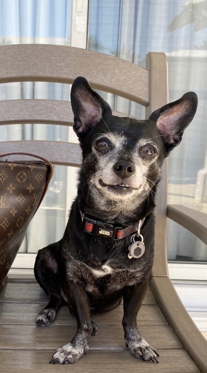 Cupcakeqween's tweet photo. #masonforever
Miss you so much my sweet boy… I hope you are eating all the snackys and saving mama a space in bed with you.  I want to give me so many kisses. https://t.co/H8wU279poy