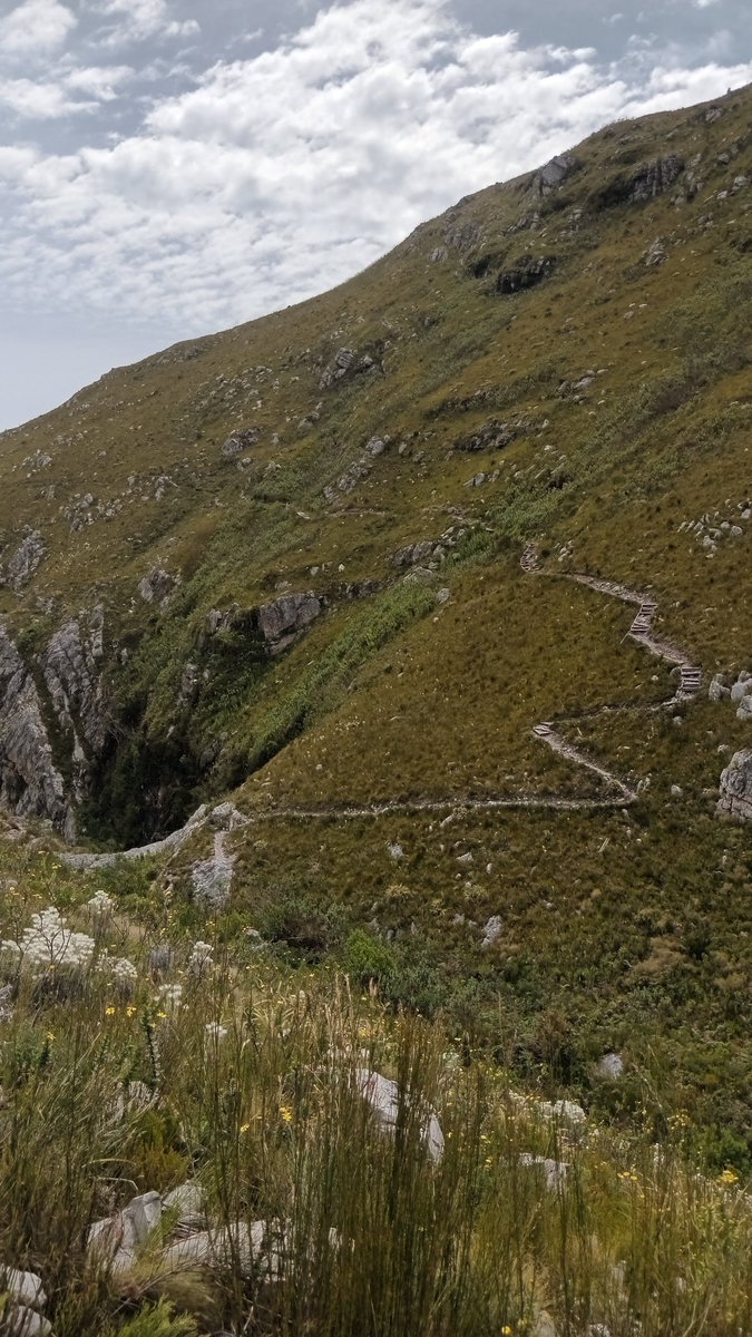 savekuilsriver's tweet photo. Hit some mountains for #GSB on Saturday. This is Oudebosch, Kogelberg Nature Reserve to Harold Porter National Botanical Gardens, Betty's Bay. Well worth it!!

#naturalheritage #kogelbergbiosphere https://t.co/vHhLtohw9M