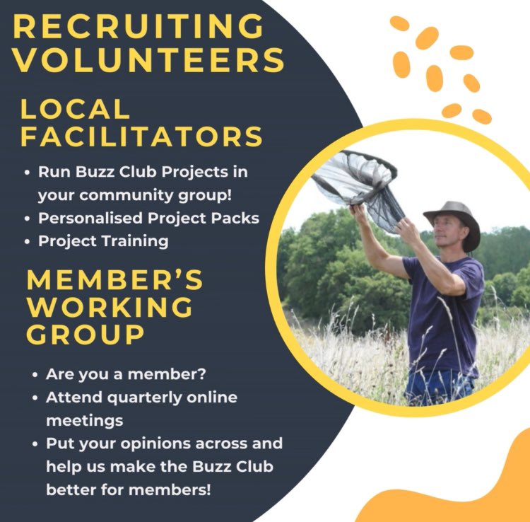 If interested, message us on here or email us at buzzclub.uk@gmail.com @DaveGoulson @LJBees