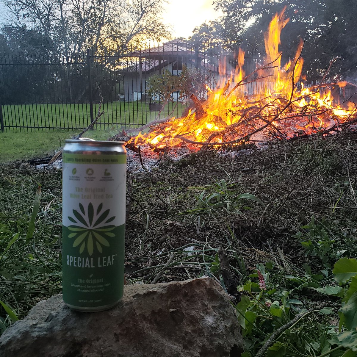 JC (@joshuarcook) on Twitter photo Ok <a href="/spurs/">San Antonio Spurs</a>, 3 day break til next game, time for a fireside chat...your friends <a href="/SpecialLeaf/">SpecialLeaf</a> have your favorite π β€π₯. #210Health #porvida Ok <a href="/spurs/">San Antonio Spurs</a>, 3 day break til next game, time for a fireside chat...your friends <a href="/SpecialLeaf/">SpecialLeaf</a> have your favorite π β€π₯. #210Health #porvida