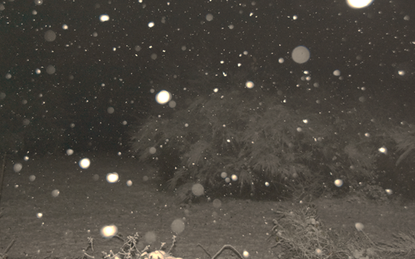weermanrobert's tweet photo. #Sneeuw op dit moment op de #Tankenberg bij #Oldenzaal in het oosten van het land. Winters plaatje met aanhoudende lichte sneeuwval en temperaturen rond het vriespunt. Foto's gemaakt door Ronald, via @weerwoordbe https://t.co/Uim2BRIqhm
