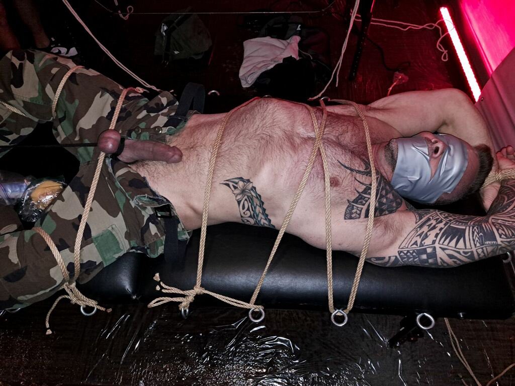 Muscle_Dog tweet media