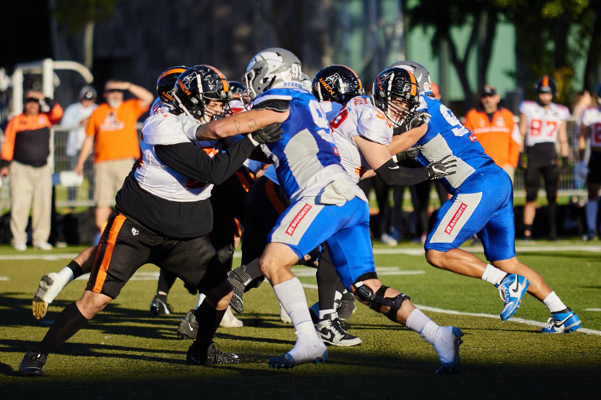 BorregosQRO's tweet photo. 🏈 Imágenes de la FINAL ante Águilas UACH VOLVEREMOS MÁS FUERTES📷 #SomosBorregos #BorregosQRO #BorregosEnONEFA #TecLiFE #HazloÉpico
@teccampusqro @borregostec @OnefaMX https://t.co/v8uVOCbykz