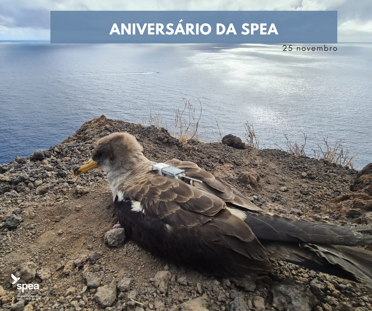 Oceanlitproject tweet media