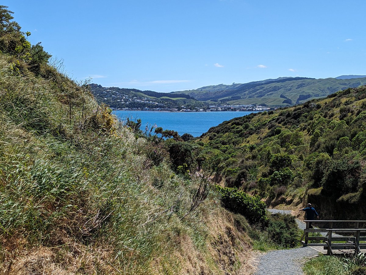 Highlights from day 1 of the Asia Pacific Society of Physical Activity conference in beautiful Wellington... @ASPActivity #ASPA2023 @RAILMonash @PhysiosforPA