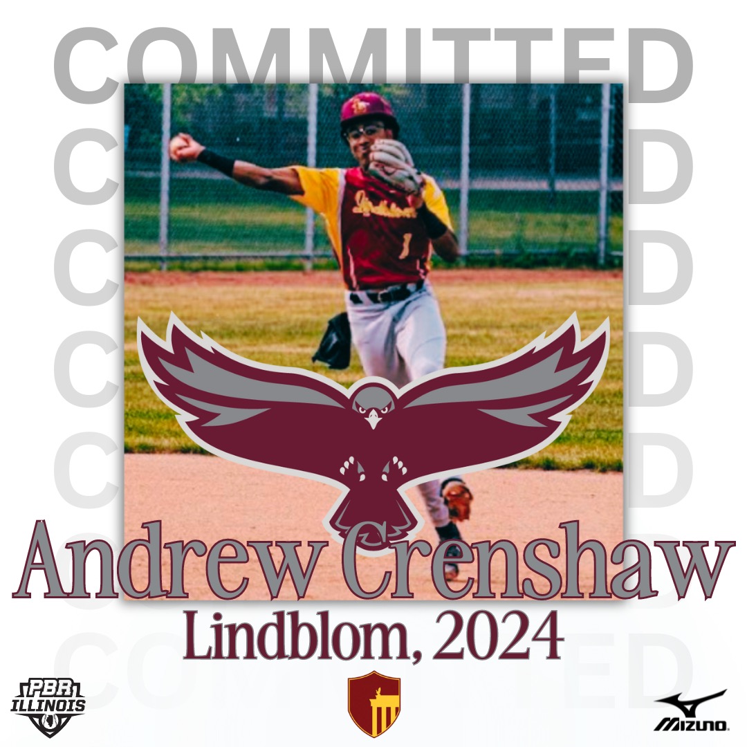 Prep Baseball Illinois tweet media