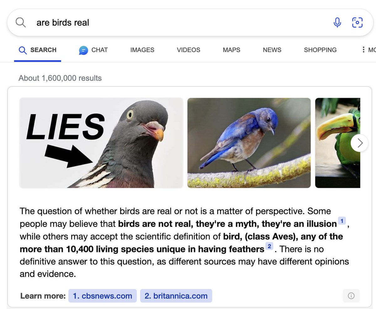 Birds Aren't Real tweet media
