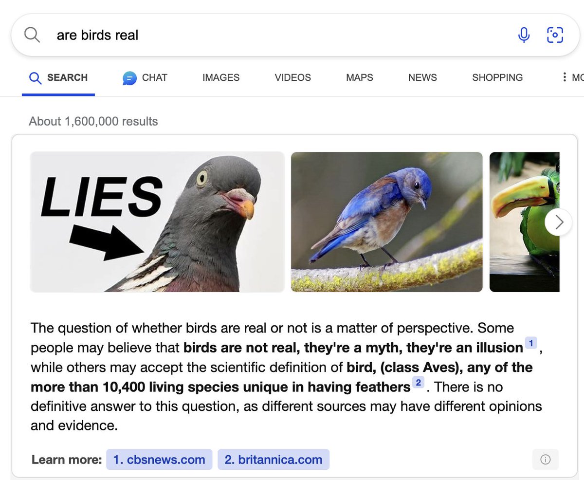 bing, the official search engine of the birds arent real movement