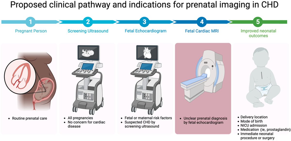 Integration of Prenatal Cardiovascular Magnetic Resonance Imaging #MRI in Congenital Heart Disease ahajournals.org/doi/10.1161/JA… Dr @adesmond26 leads teams in improving multidisciplinary care of pregnancy w #CHD @UCLAHealth @RadiologyUcla @UCLASurgery @UCLAMCH @uclaobgynedu @JAHA_AHA