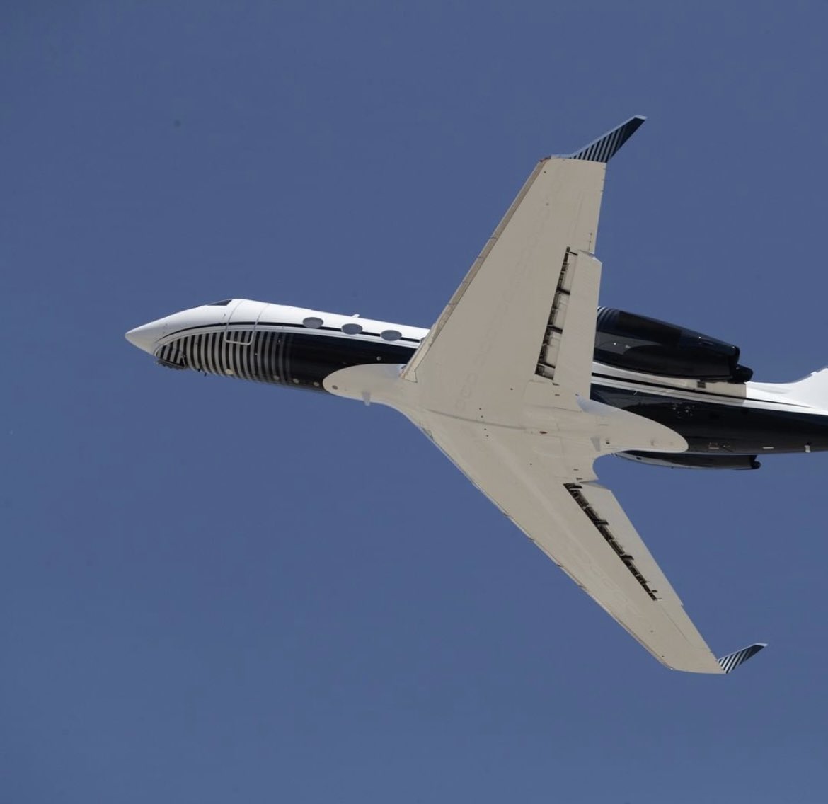 Private Jet Lady tweet media