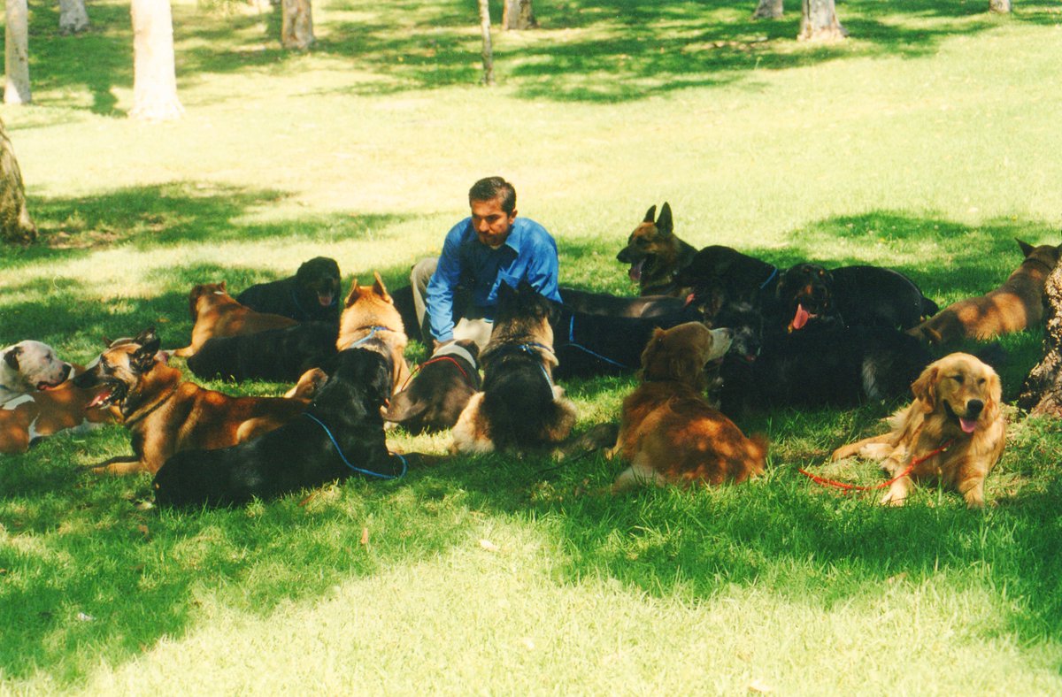 cesarmillan's tweet photo. How many of our endeavors happen because of the support and motivation of our pack??? It is always important to listen to those we admire, those who are interested and concerned about us. #BetterHumansBetterPlanet
. . .
¿Cuántos de nuestros esfuerzos suceden gracias al apoyo y motivación de nuestra manada??? Siempre es importante escuchar a quienes admiramos, a quienes se interesan y se preocupan por nosotros. #BetterHumansBetterPlanet